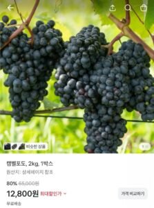 캠벨포도 2kg