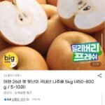26년 햇 못난이 국내산 나주배 5kg 5~10과