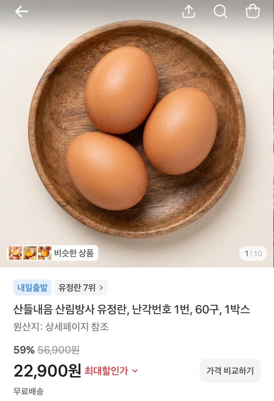 산림방사 난각번호 1번 무항생제 유정란 60구