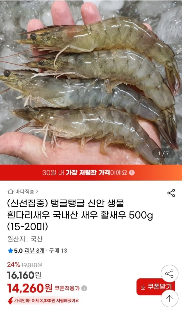 국내산 생물 흰다리 활새우 500g