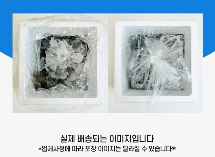 국내산 생물 흰다리 활새우 500g