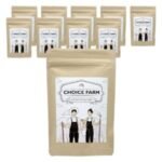 초이스팜 건오렌지 슬라이스 특품, 40g (10개) (40g × 10개)