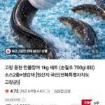 민물장어 1kg (손질후 700g)