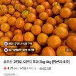 호주산 오렌지 2kg