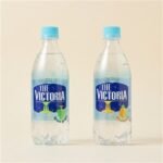 더 빅토리아, 청포도 500ml 20개 + 파인애플 500ml 20개, 40개