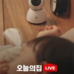 헤이홈 1+1 홈카메라 1세대 PRO 5MP + 헤이캣 커버 2개 증정
