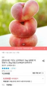거반도 납작복숭아 2~5과