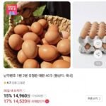 난각번호 1번 유정란 대란 40구