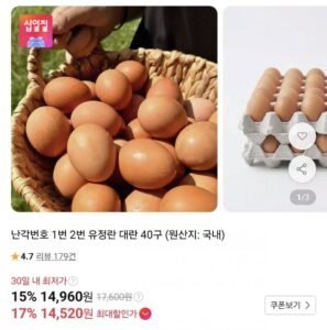 난각번호 1번 유정란 대란 40구