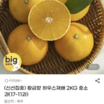황금향 (11-17과) 중소과 2kg