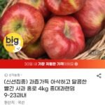 빨간사과 홍로사과 중대과 4kg
