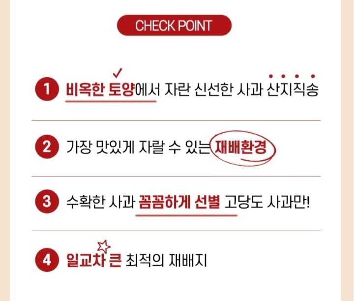 빨간사과 홍로사과 중대과 4kg