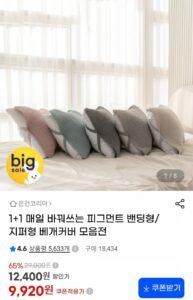 1+1 매일 바꿔쓰는 피그먼트 밴딩형/지퍼형 베개커버 모음전