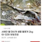 서해안 활 대숫게 생물 활꽃게 2kg (8-12미) 당일조업(22,590/무배)