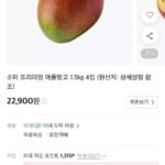애플망고 1.5kg 4입