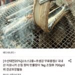국내산 자포니카 민물장어 1kg 손질후 700g