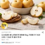 26년 첫 출하 나주 햇 배 가정용 5kg