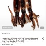 국내산 태안 활 오징어 1kg (3~5미)