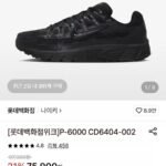 나이키 P-6000 2가지 롯데백화점 상품