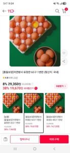 자연방사 유정란 60구 1번란