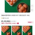 자연방사 유정란 60구 1번란