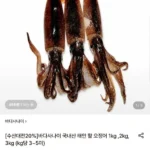 국내산 태안 활 오징어 1kg 3-5미