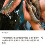 국내산 태안 활새우 1kg 32미 내외