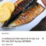 노르웨이 순살 고등어 1kg