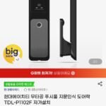 현대에이치티 무타공 푸시풀 지문인식 도어락 TDL-P1102F