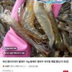 국산 흰다리새우 왕새우 1kg 32미