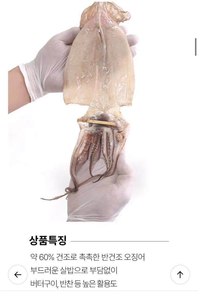반건조 오징어 10미 700g 소자 (2개 구매 시 미니석쇠+마요네즈 증정