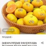 (농할30%+5%) 제주 하우스감귤 가정용 로얄과 귤림원 3kg