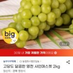 고당도 영천 샤인머스켓 2kg