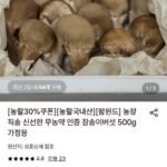 농장직송 참송이버섯 500g