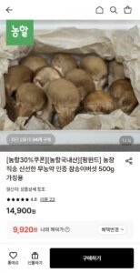 농장직송 참송이버섯 500g