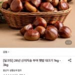 26년 산지직송 부여 햇밤(대) 1kg~3kg (8,310원~/무료)