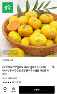 제주 귤림원 하우스 감귤 3kg 가정용 로얄과