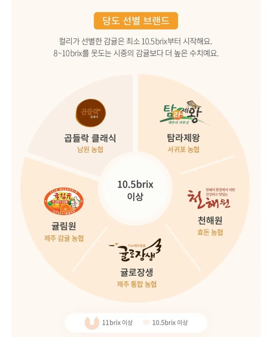 제주 귤림원 하우스 감귤 3kg 가정용 로얄과