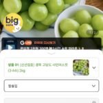 샤인머스켓 2Kg 3~4수