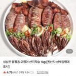 통찜용 오징어 1kg 8~16미 내외