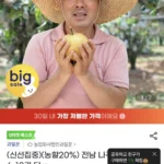 (신선집중)(농할20%) 전남 나주배 10kg