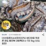 완도 활전복 6~7미 1kg