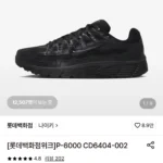 나이키 P-6000