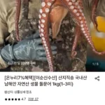 산지직송 국내산 남해안 자연산 생물 돌문어 1kg(1-3미)