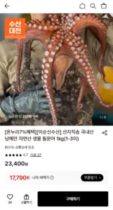 산지직송 국내산 남해안 자연산 생물 돌문어 1kg(1-3미)
