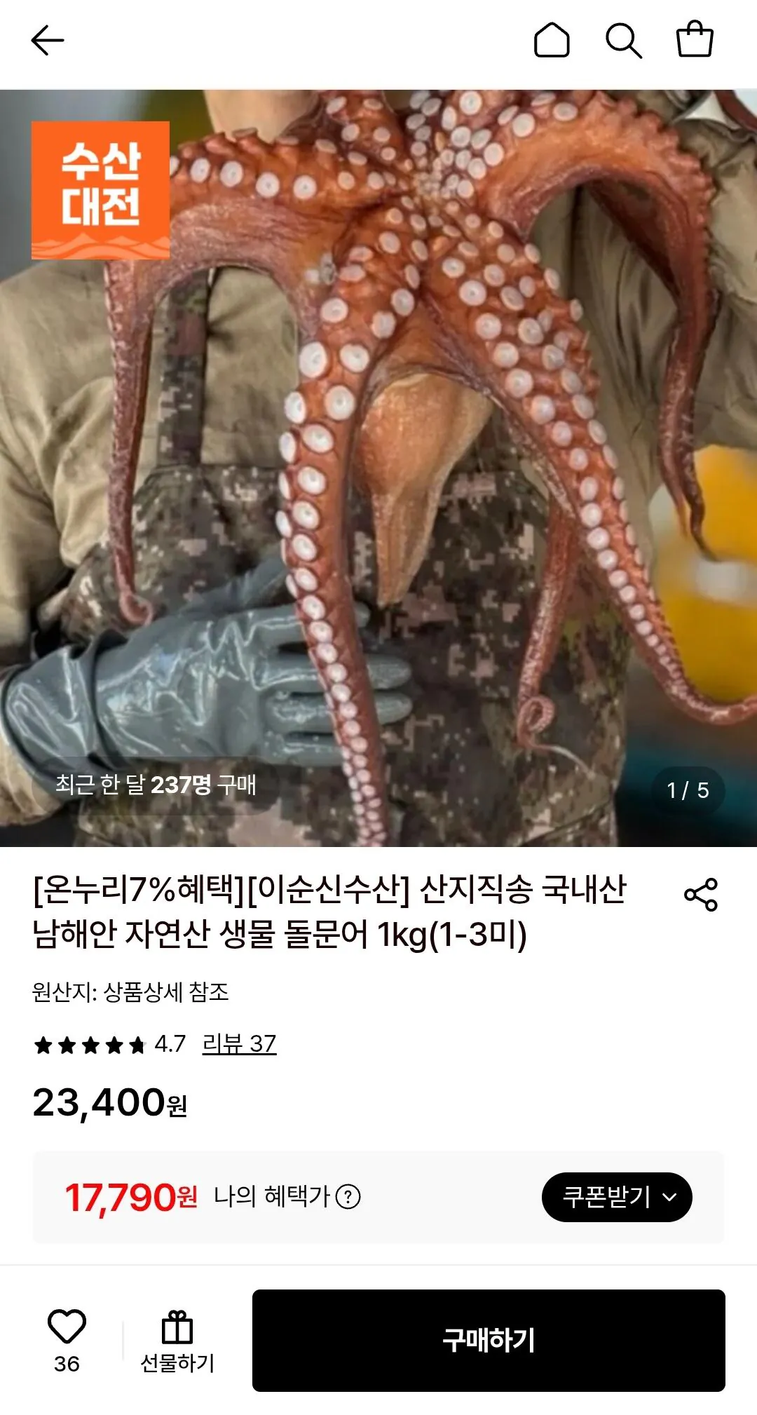 산지직송 국내산 남해안 자연산 생물 돌문어 1kg(1-3미)