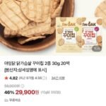 닭가슴살 꾸이칩 30g 20팩