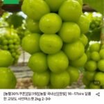 국내산 샤인머스켓 2kg 2~3수