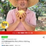 전남 나주배 6-10과 5kg