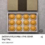 신선배송 나주배 선물세트 5kg